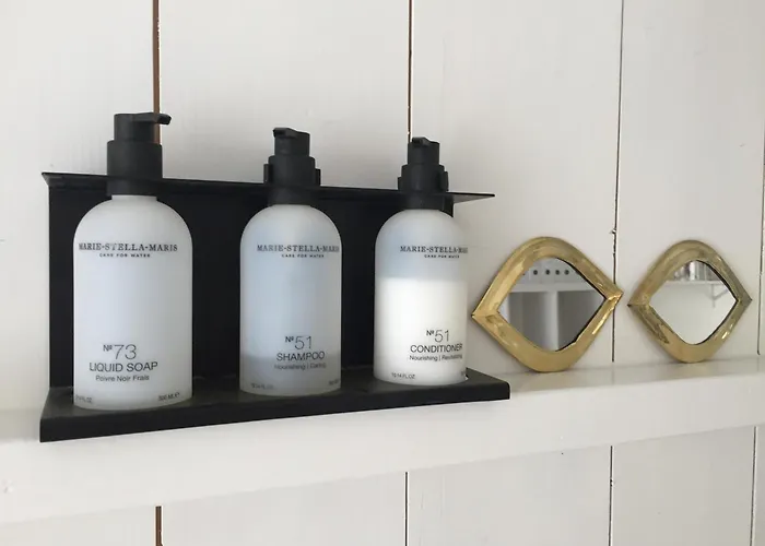 게스트하우스 Joyjoyjoy The White Wilde Ecolicious In A Historic Canalhouse From 1799 With Terrace At The Canals 3*