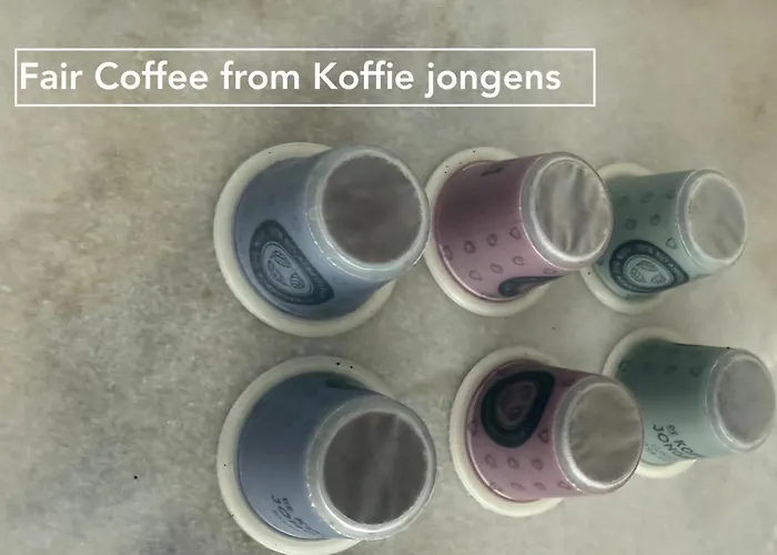 Joyjoyjoy The White Wilde Ecolicious In A Historic Canalhouse From 1799 With Terrace At The Canals 3*