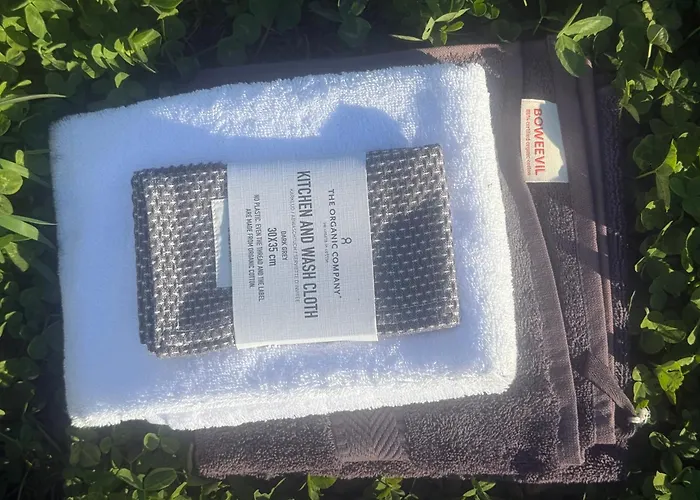 Joyjoyjoy The White Wilde Ecolicious In A Historic Canalhouse From 1799 With Terrace At The Canals 3* 암스테르담