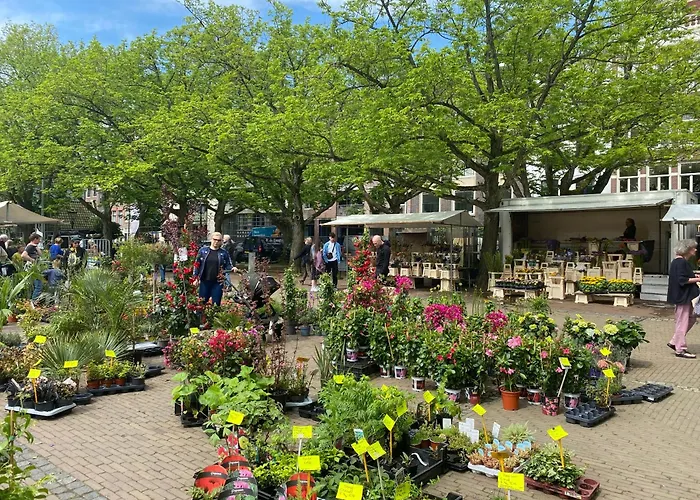 Joyjoyjoy The White Wilde Ecolicious In A Historic Canalhouse From 1799 With Terrace At The Canals 게스트하우스