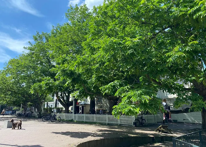 Joyjoyjoy The White Wilde Ecolicious In A Historic Canalhouse From 1799 With Terrace At The Canals 게스트하우스