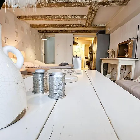 Gæstehus Joyjoyjoy The White Wilde Ecolicious In A Historic Canalhouse From 1799 With Terrace At The Canals Amsterdam