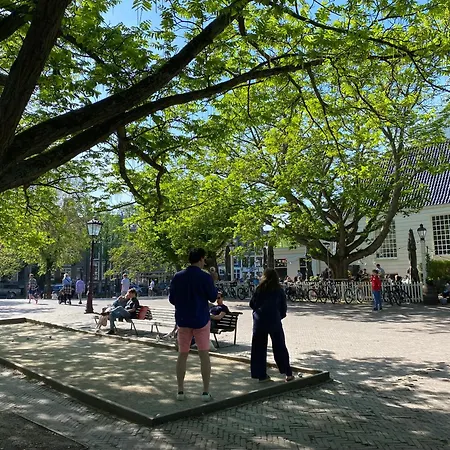 Gæstehus Joyjoyjoy The White Wilde Ecolicious In A Historic Canalhouse From 1799 With Terrace At The Canals 3*