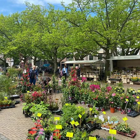 Joyjoyjoy The White Wilde Ecolicious In A Historic Canalhouse From 1799 With Terrace At The Canals Gæstehus