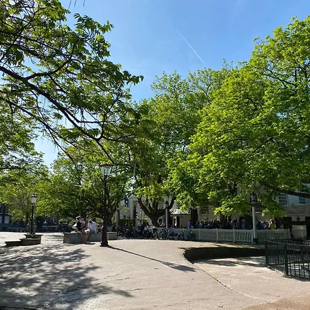 Joyjoyjoy The White Wilde Ecolicious In A Historic Canalhouse From 1799 With Terrace At The Canals Gæstehus Amsterdam