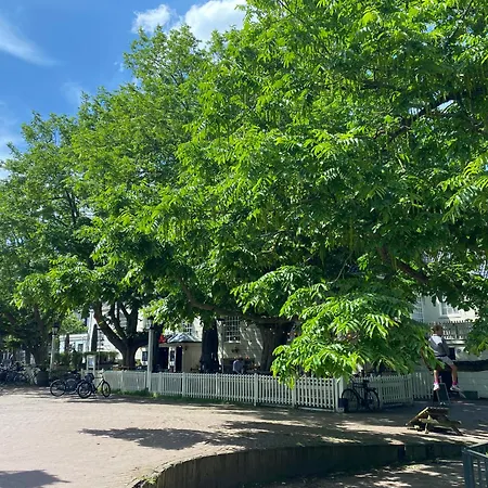 Joyjoyjoy The White Wilde Ecolicious In A Historic Canalhouse From 1799 With Terrace At The Canals Gæstehus